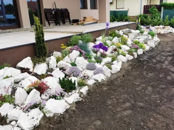 8. galéria kép Molnári Ákos EV.